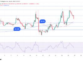 NewsPicks AI: XRP Forms Golden Cross Against BTC, but Timing Says Not Now